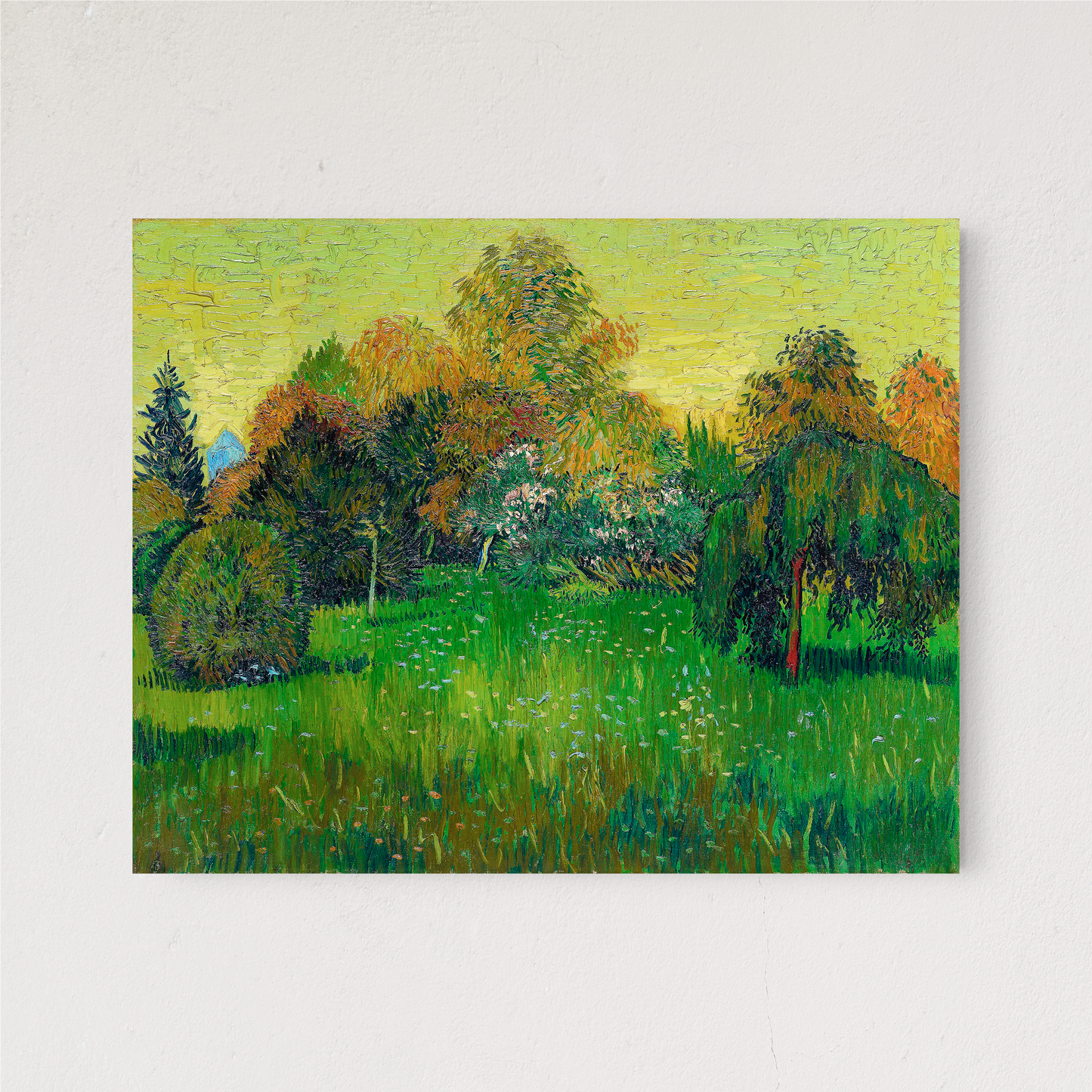 FIELD