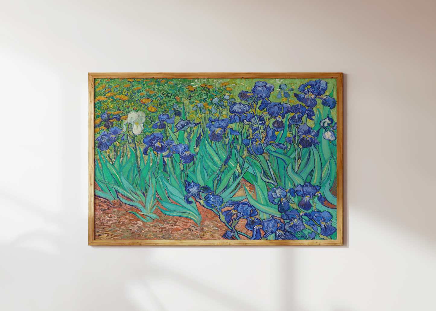 IRISES