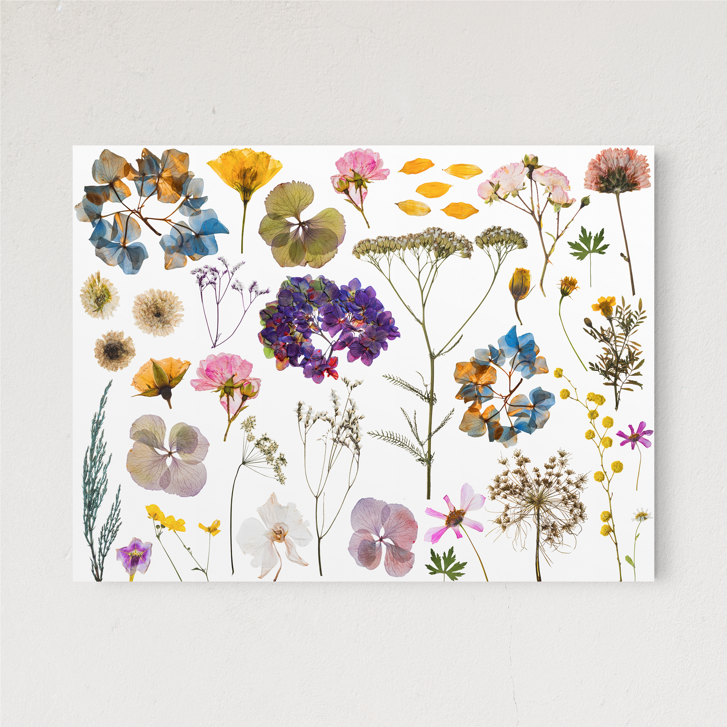 PRESSED FLOWERS