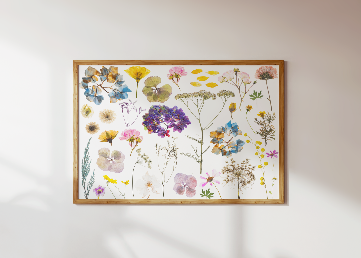 PRESSED FLOWERS