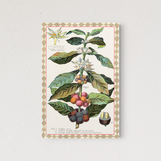 COFFEE BEANS