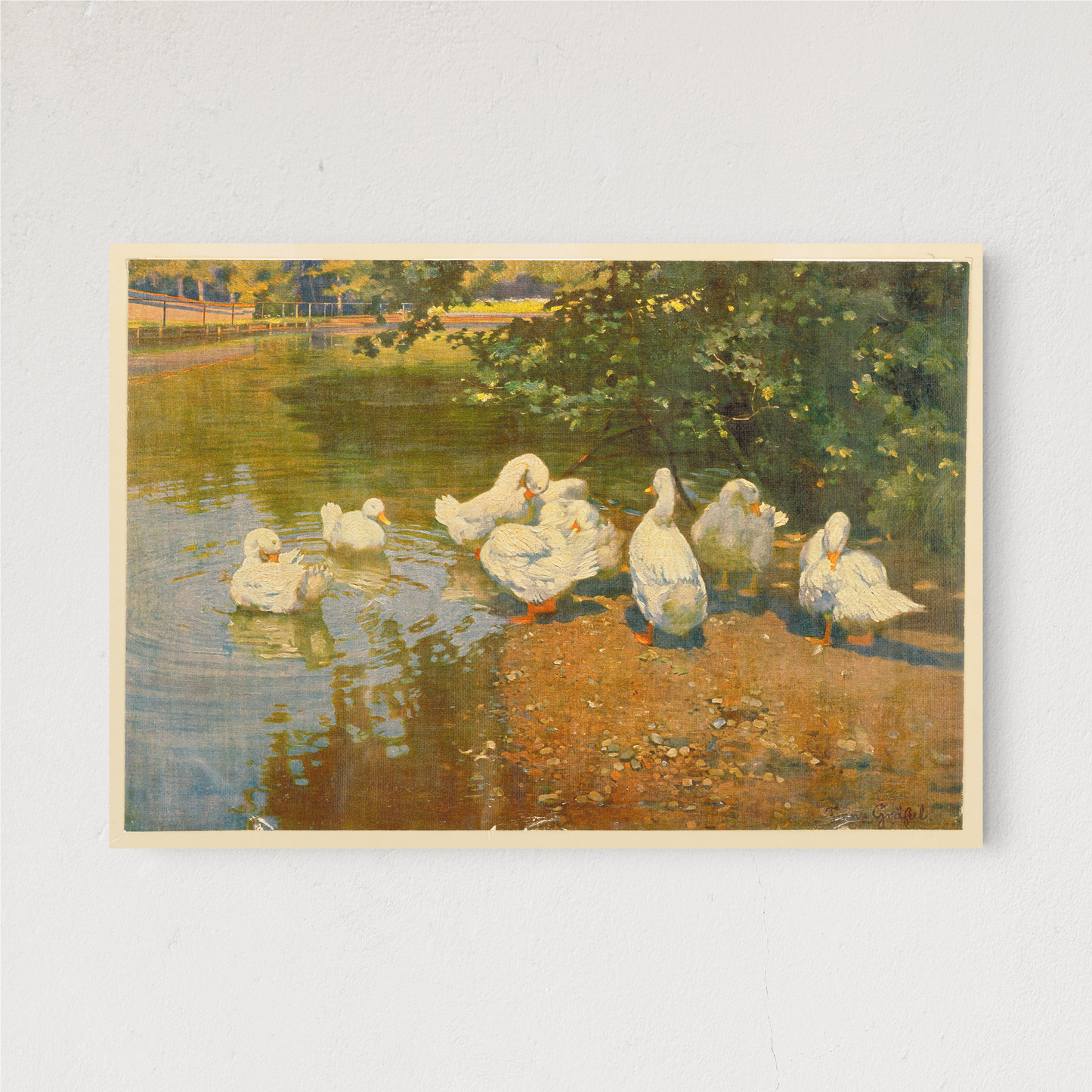 DUCK LIFE