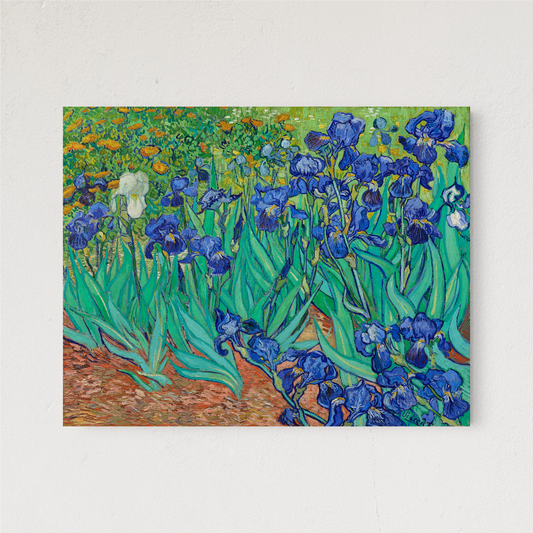 IRISES
