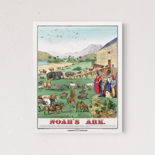 NOAH'S ARK